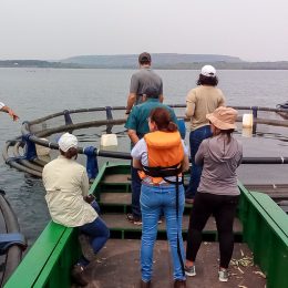 Pesquisadora destaca potencialidades do atual cenário da piscicultura em Mato Grosso