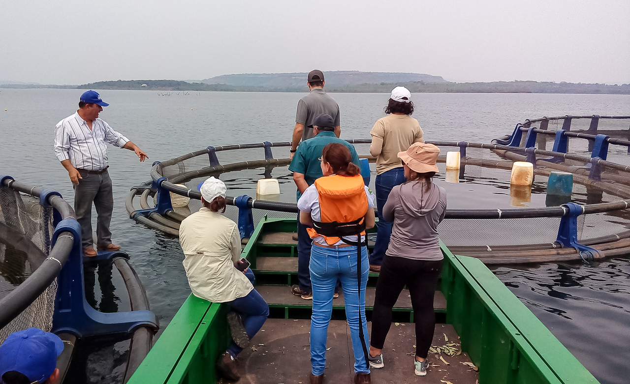 Pesquisadora destaca potencialidades do atual cenário da piscicultura em Mato Grosso