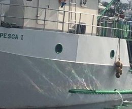 Pesca em foco: Capitania investiga ‘guerra do atum’; Iccat tem ‘frustração’ e Seap publica portaria de cardume associado