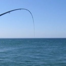 EUA criam plano de rastreabilidade de peixes e frutos do mar