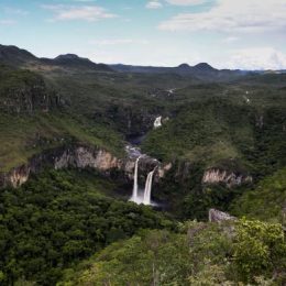 No Dia Mundial do Meio Ambiente, Temer amplia e cria unidades de conservação