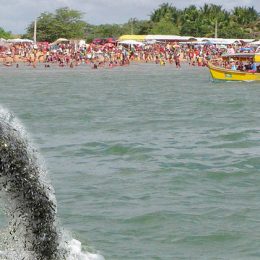 Bacia do rio São Francisco recebe 3 milhões de peixes em 2017