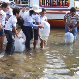 Rio São Francisco vai receber 500 mil alevinos