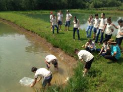 Além de peixe, alunos de colégio agrícola aprendem a criar camarão