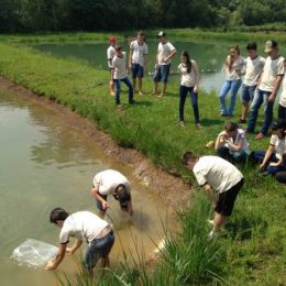 Além de peixe, alunos de colégio agrícola aprendem a criar camarão