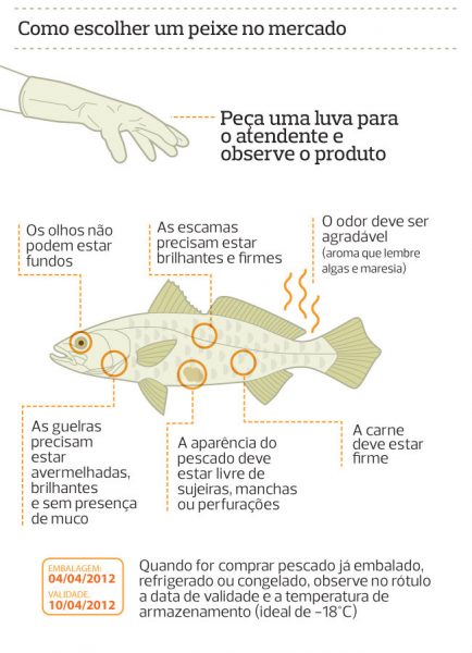 dicas peixes