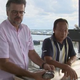 Pesquisadores da Unesp fazem mapeamento da genética da tilápia para melhorar criações