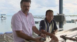 Pesquisadores da Unesp fazem mapeamento da genética da tilápia para melhorar criações