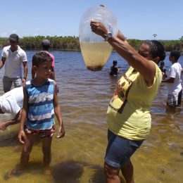 Lagoa Marituba do Peixe receberá um milhão de alevinos em 2017