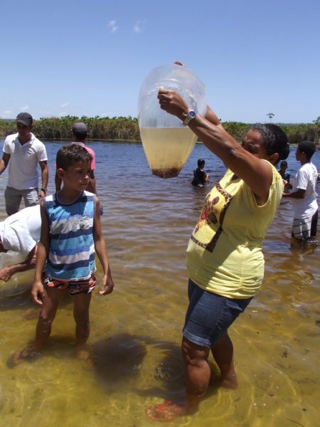 Lagoa Marituba do Peixe receberá um milhão de alevinos em 2017