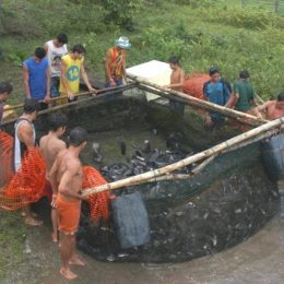 Piscicultores de Várzea Grande são capacitados para aumentar a produção de peixes no município