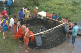 Piscicultores de Várzea Grande são capacitados para aumentar a produção de peixes no município