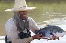 Codevasf e Unimontes realizam 1º Seminário de Piscicultura do Norte de Minas
