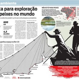 ONU alerta para exploração limite de peixes no mundo