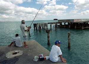 Ministério da Pesca e Aquicultura apresenta medidas regulamentando pesca amadora