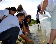 Alevinos produzidos pela Codevasf recompõem estoque pesqueiro do trecho mineiro do rio São Francisco