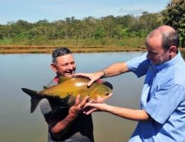 homem segurando peixe