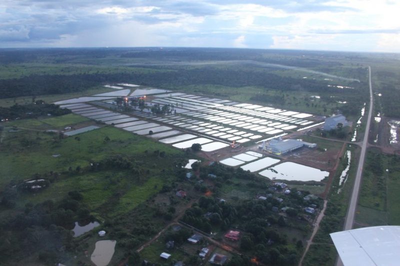 Mapa vai propor que retomada de vendas à UE comece com peixe de aquicultura