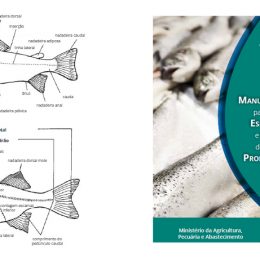 Mapa lança manual anti-fraude no pescado