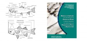 Mapa lança manual anti-fraude no pescado