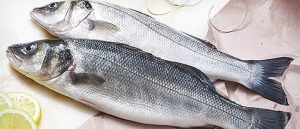 Dieta à base de peixe diminui riscos de doenças cardiovasculares