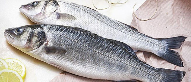 Dieta à base de peixe diminui riscos de doenças cardiovasculares