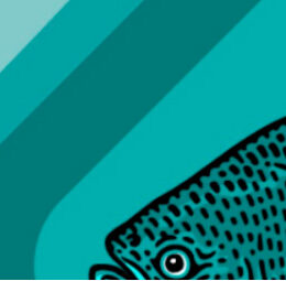 curso peixes redondo embrapa