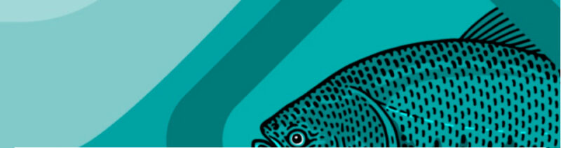 curso peixes redondo embrapa