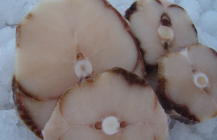 peixe