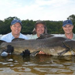 Roteiros de pesca em MT com peixes gigantes são atração de feira em SP