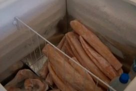 Mercado de peixes se aquece com início da Quaresma em Divinópolis