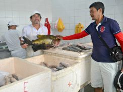 Pescadores temem falta de peixe no Juruá devido à falta de grande cheia