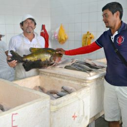 Pescadores temem falta de peixe no Juruá devido à falta de grande cheia