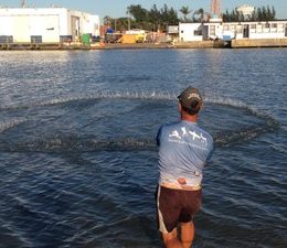 Botos ajudam pescadores na captura de peixes em Tramandaí, no RS