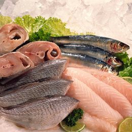 Pesquisa aponta mercado de peixes de Fortaleza como referência