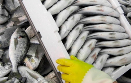 pescados