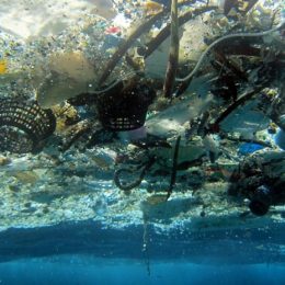Oceanos terão mais plástico do que peixes em 2050, diz estudo