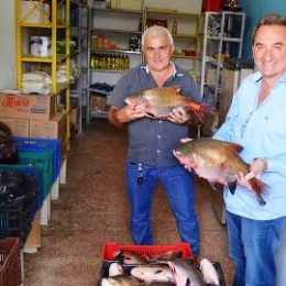 Hospital Municipal de Rolim recebe meia tonelada de peixe