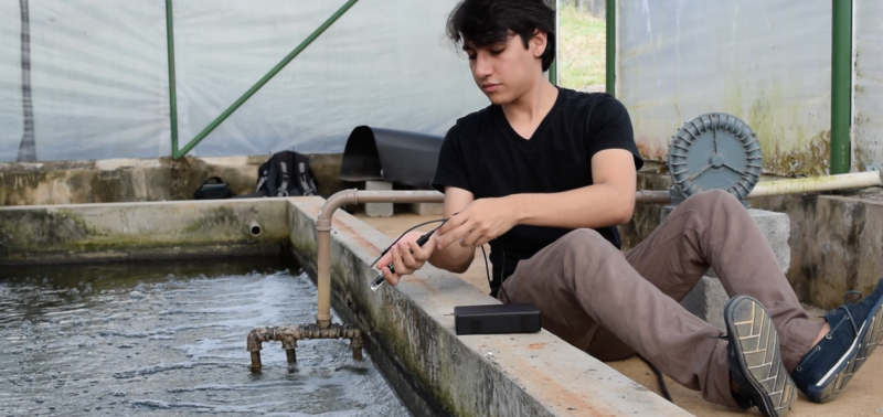 Projeto para otimizar produção de peixes representa o Brasil em 'Copa do Mundo' da tecnologia
