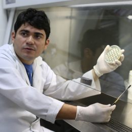 Pesquisa produz hormônio do tambaqui para acelerar crescimento de peixes no AM