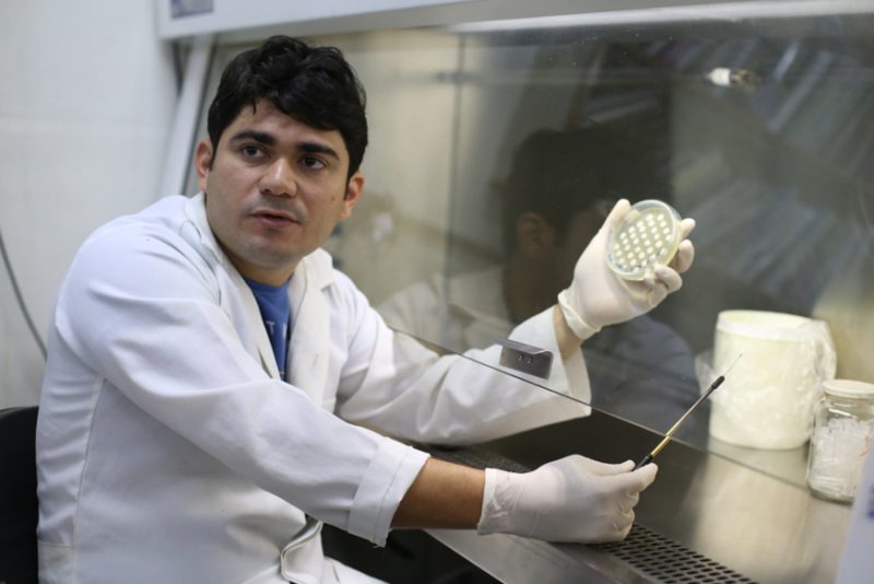 Pesquisa produz hormônio do tambaqui para acelerar crescimento de peixes no AM