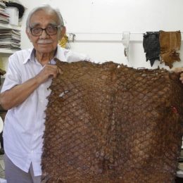 Tecnologia de aproveitamento do couro de peixes da Amazônia é desperdiçada