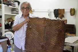 Tecnologia de aproveitamento do couro de peixes da Amazônia é desperdiçada