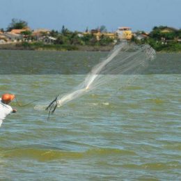 Retomada de período que proíbe pesca custará R$ 1,7 bilhão