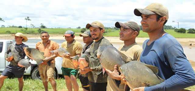 Peixes da Amazônia reaviva esperança de produtor em continuar criando alevinos