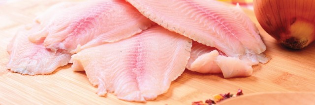 Produção mundial de pescado vai fechar o ano 2,3% maior, tilápia segue firme 