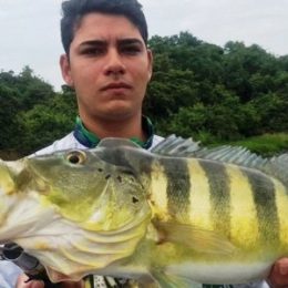 Especialistas veem ameaça a peixes do Pantanal com expansão do tucunaré