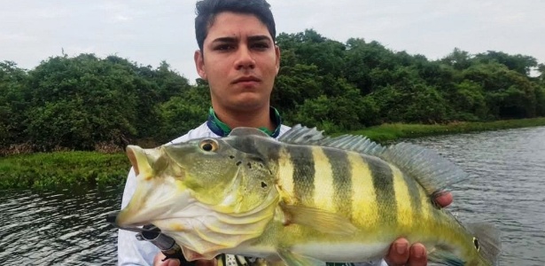 Especialistas veem ameaça a peixes do Pantanal com expansão do tucunaré 