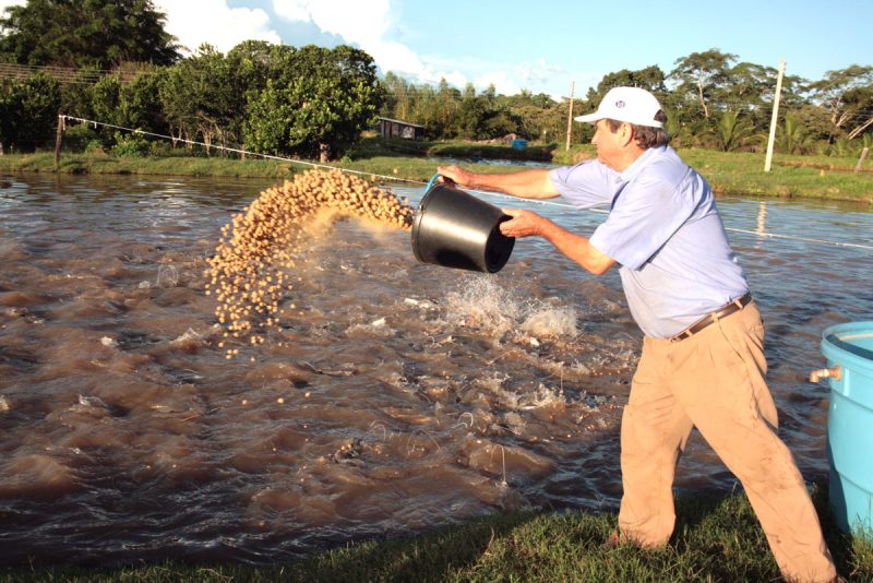 Valtenir trabalha para desenvolver a piscicultura no estado