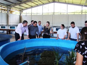Visita aos tanques da quarentena do Aquário do Pantanal (Foto: Divulgação/Imasul)